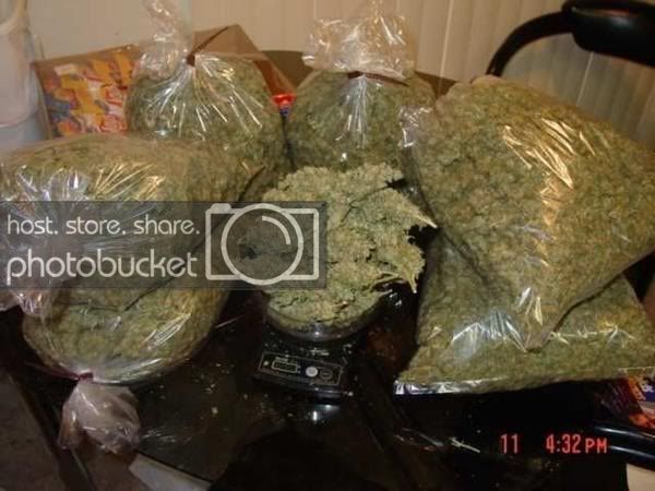 weed.jpg