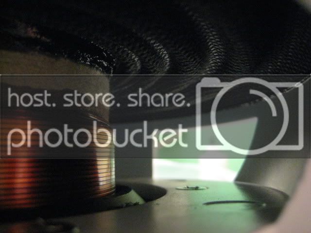 BlackandWhiteBTL078.jpg