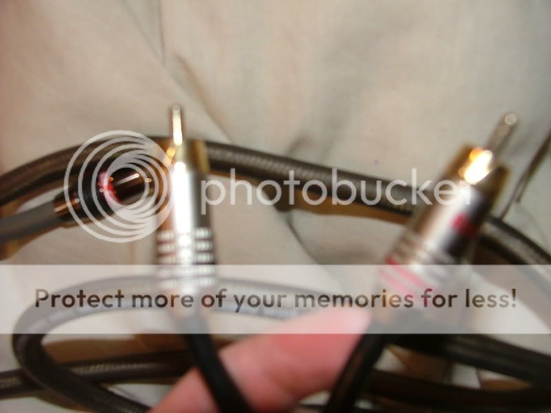 DSCF2660.jpg