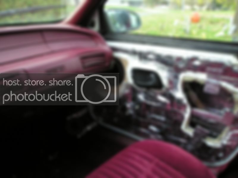 PA290048.jpg