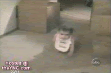 owned.gif
