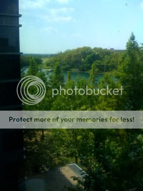 photo11.jpg