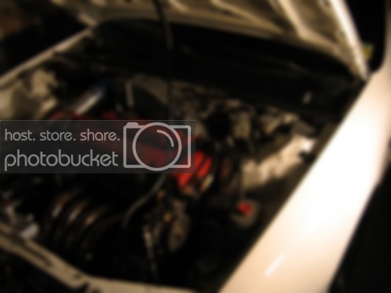Enginebay006.jpg
