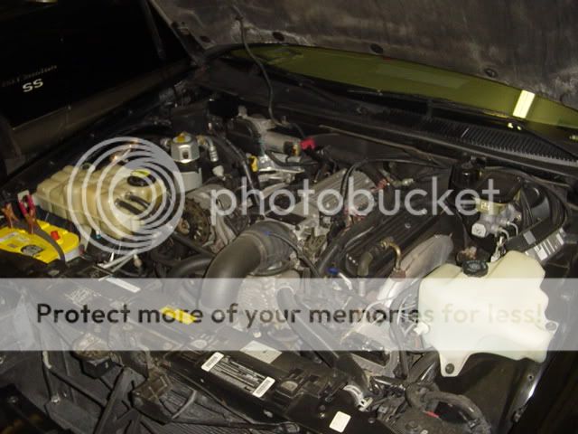 DSC00513.jpg