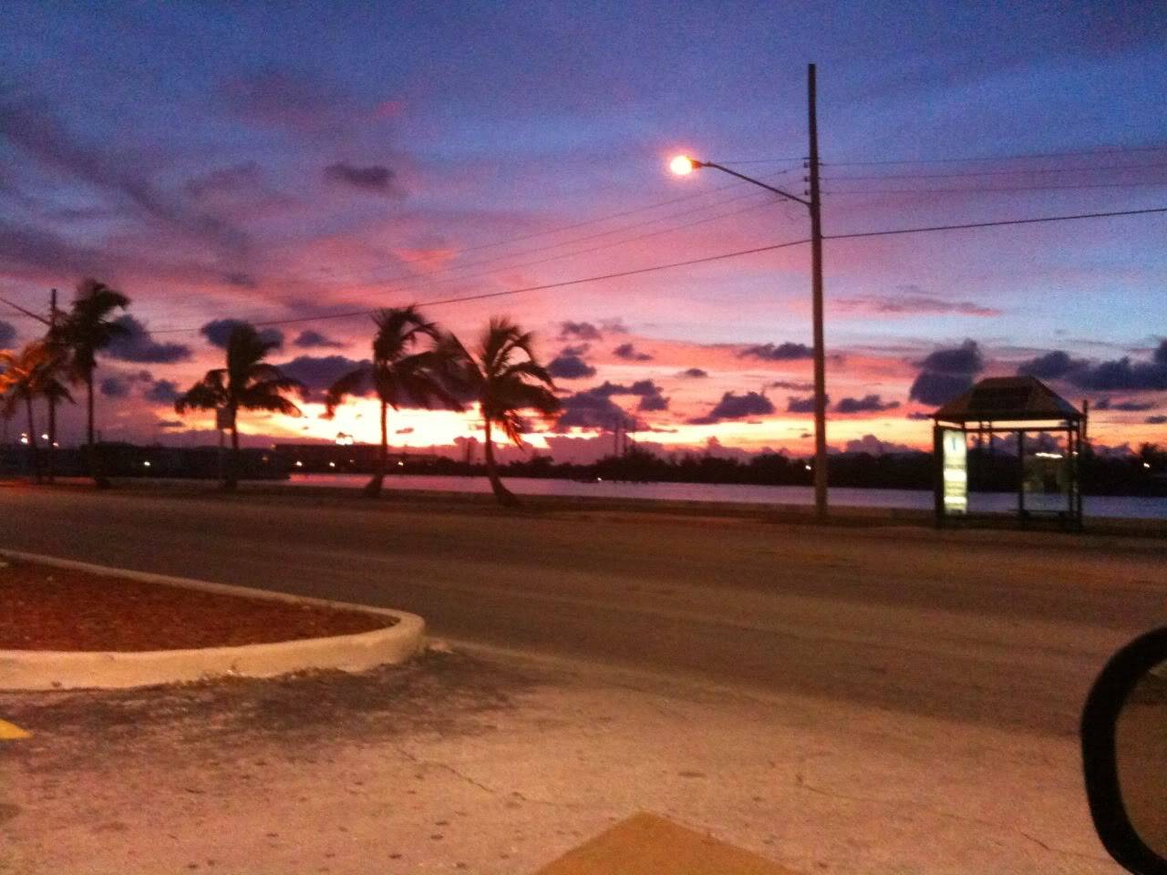 iPhoneUpload-1.jpg