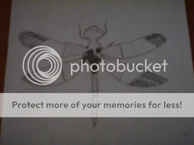 mypics093.jpg