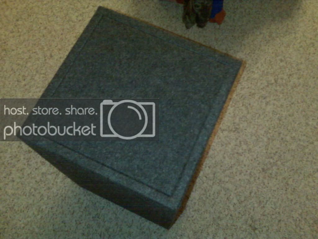 IMG00177.jpg