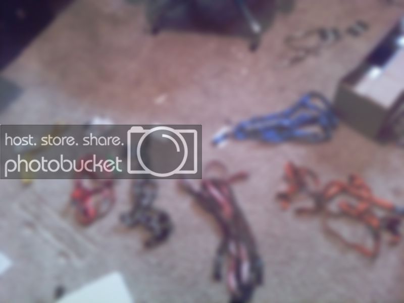 img1290443896249.jpg