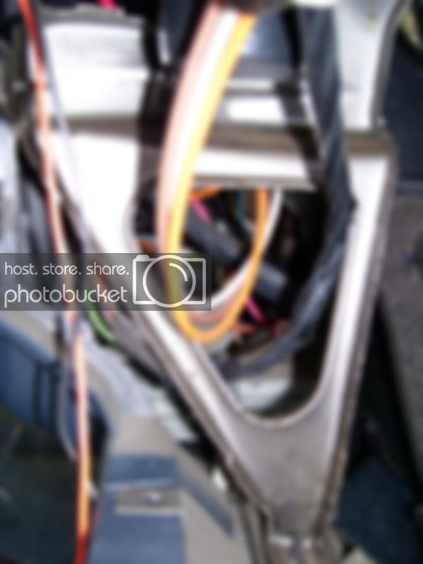 100_0081.jpg