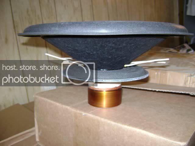 DSC00098.jpg