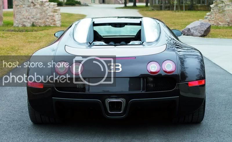 bugatti-veyron-hermes-3-big.jpg