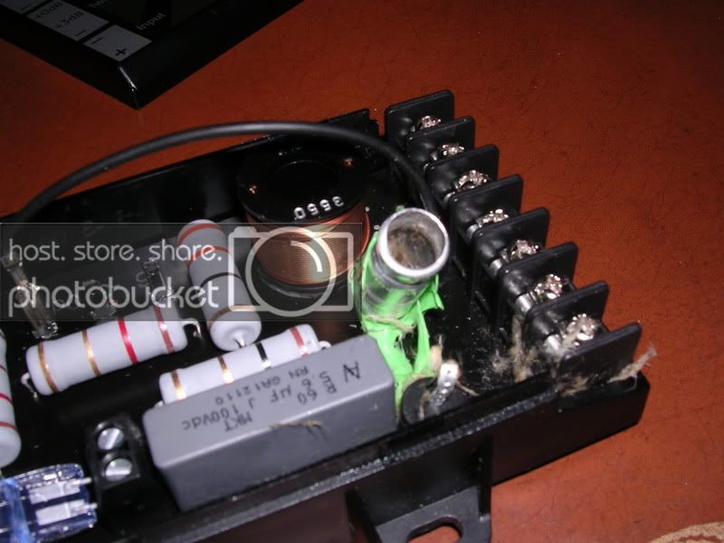 DSCN1647.jpg