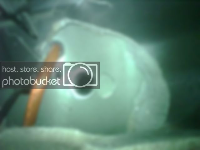IMG00382.jpg