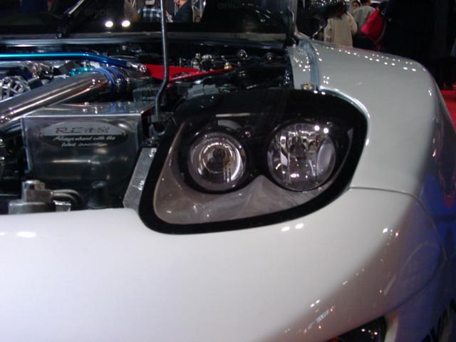 RE_Amemiya_closeup3.jpg