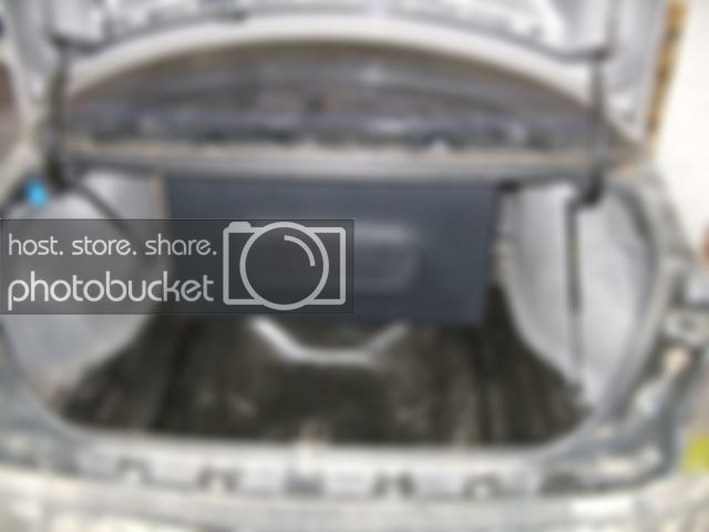 mounted2.jpg