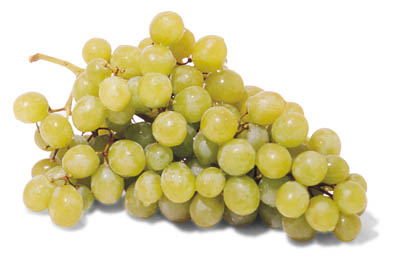 Grapes_2.jpg