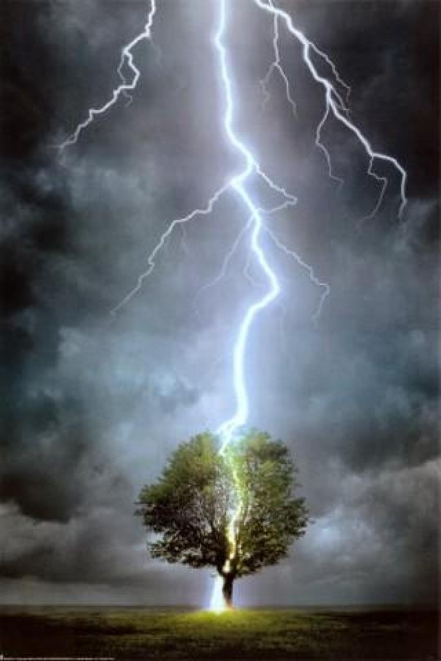 Lightning-Striking-Tree.jpg