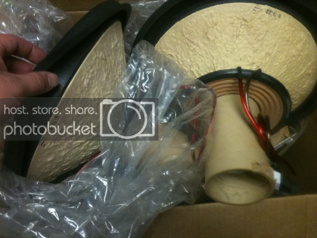 Picture475.jpg