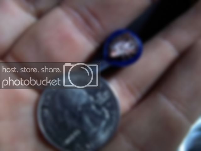 100_1146.jpg