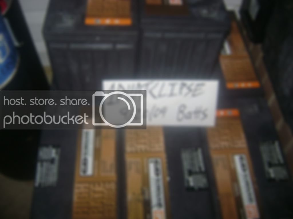 batts153.jpg