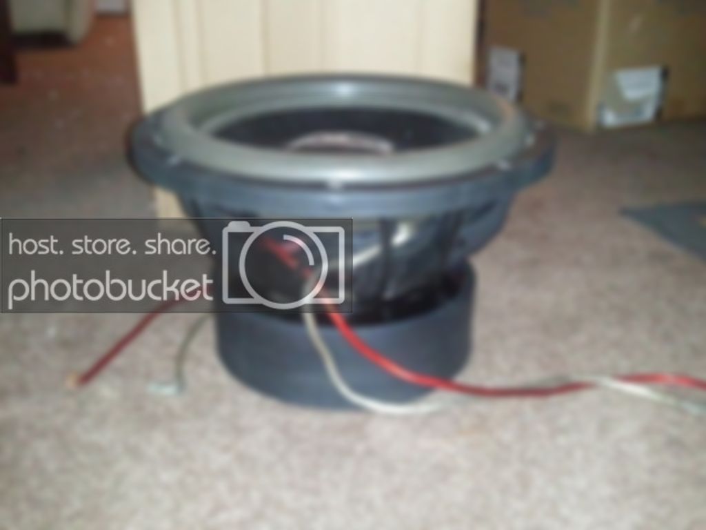 WP_000156.jpg