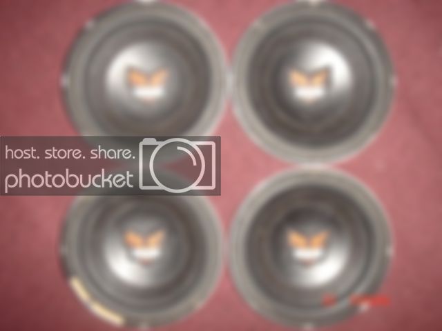 ImportedPhotos01718.jpg