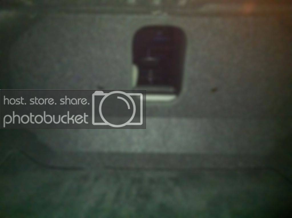 trunk2.jpg