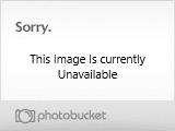 DSC01361.jpg