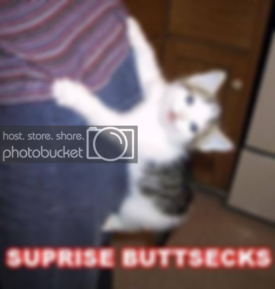 surprise_buttsecks.jpg