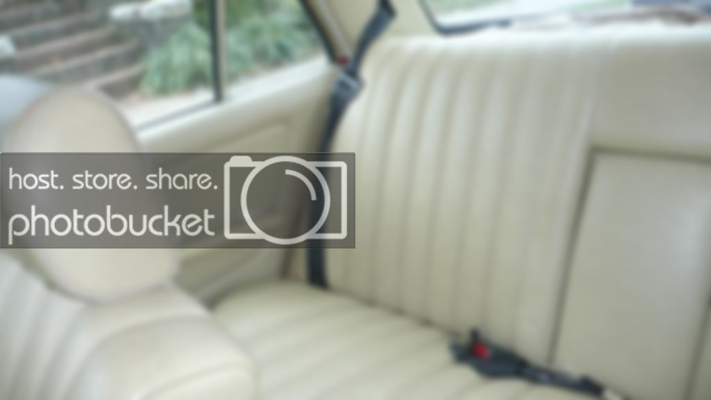P1010426.jpg