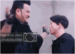 smashheadok9.gif