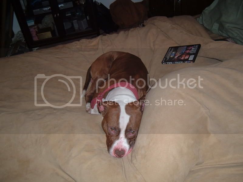 DSCF1109.jpg