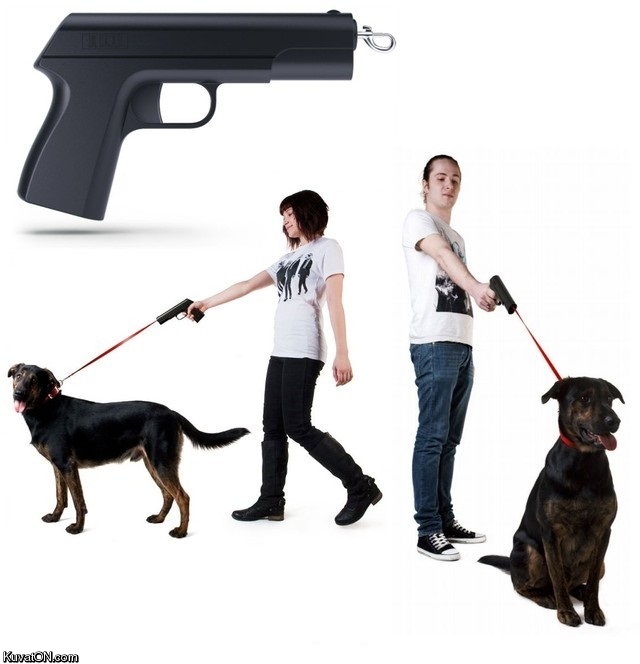 leash_gun.jpg