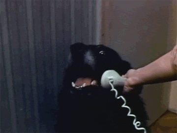 7TJpIhT.gif