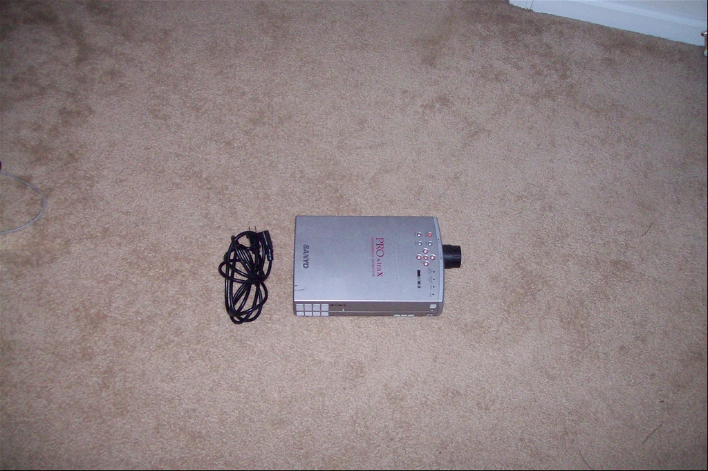 31246874007_large.jpg