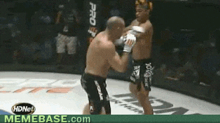 lceMA.gif