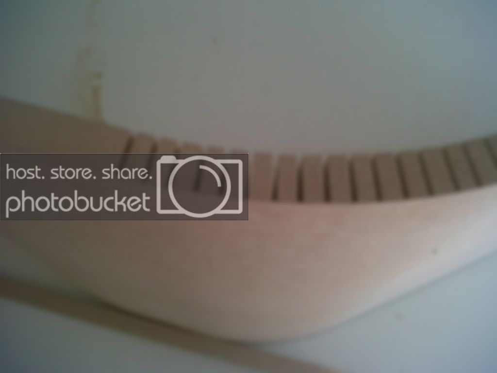 IMG00213-20110616-1334.jpg