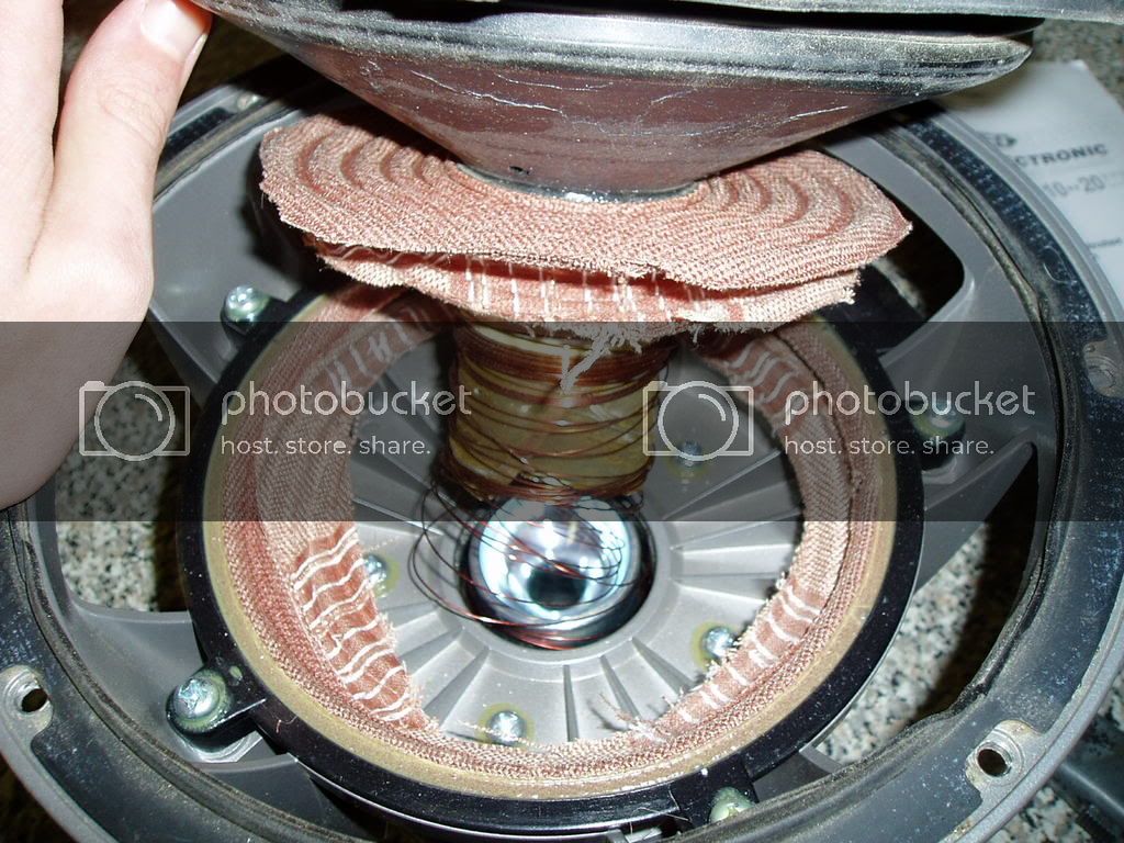 type-rtoasted2.jpg