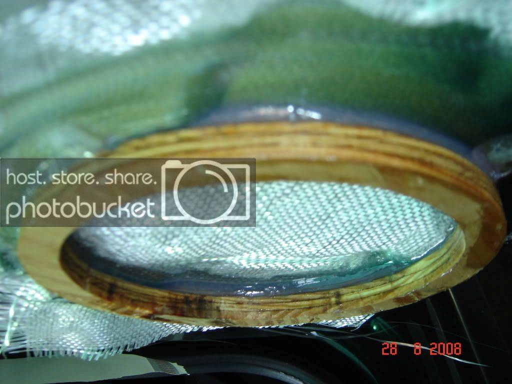 DSC02780.jpg