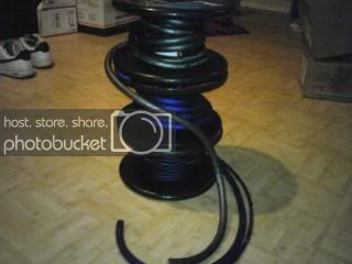 IMG00289.jpg