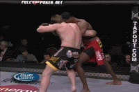 jon-jones-vs-stephen-bonnar-3.gif