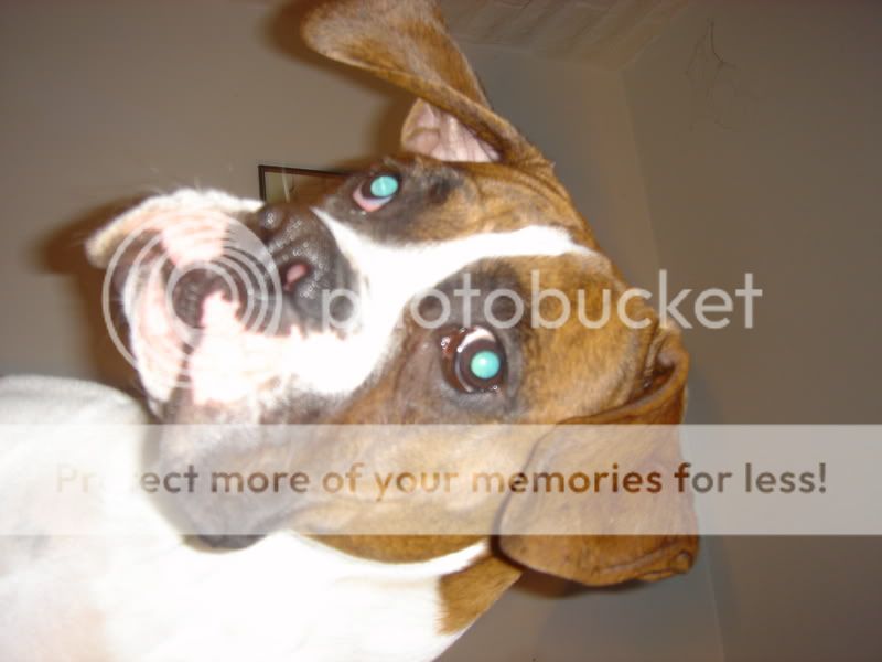 DSC02087.jpg