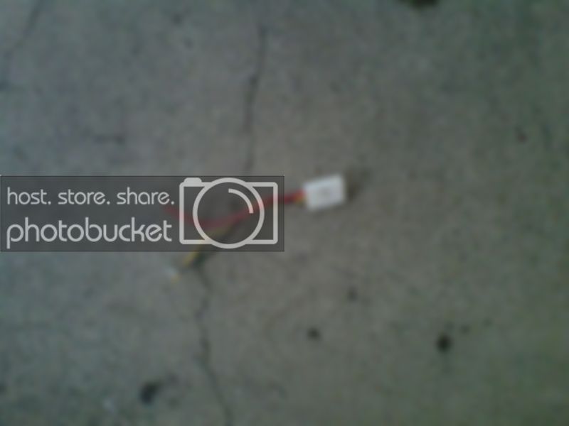 IMG00435-20121125-1009.jpg