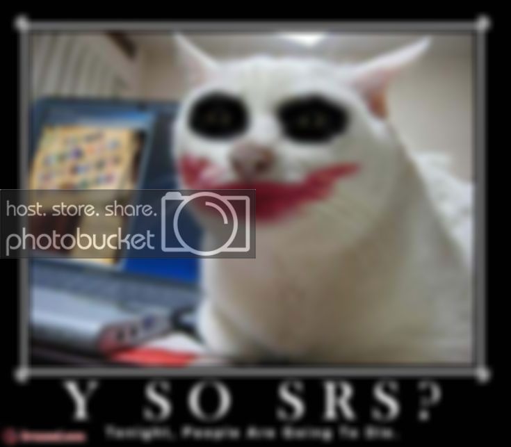 why-so-serious-cats-funny-batman-1.jpg