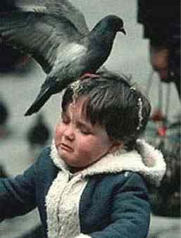 bird-shit-kid.jpg