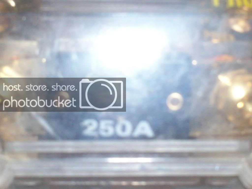 100_0238copy.jpg
