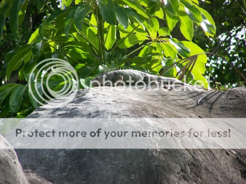 Zoo092.jpg