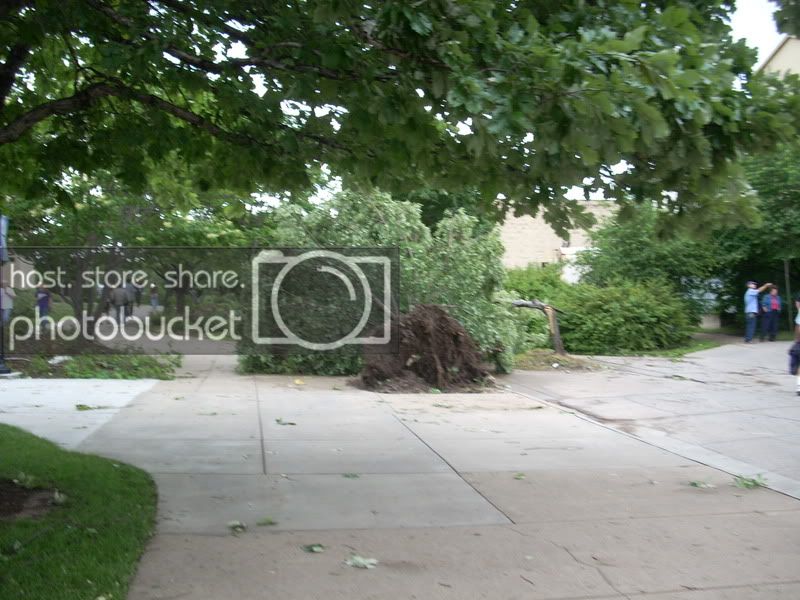 DSCN1017.jpg