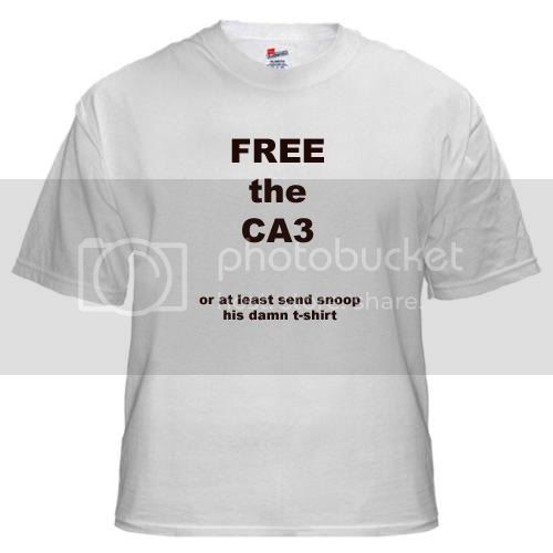 ca3.jpg