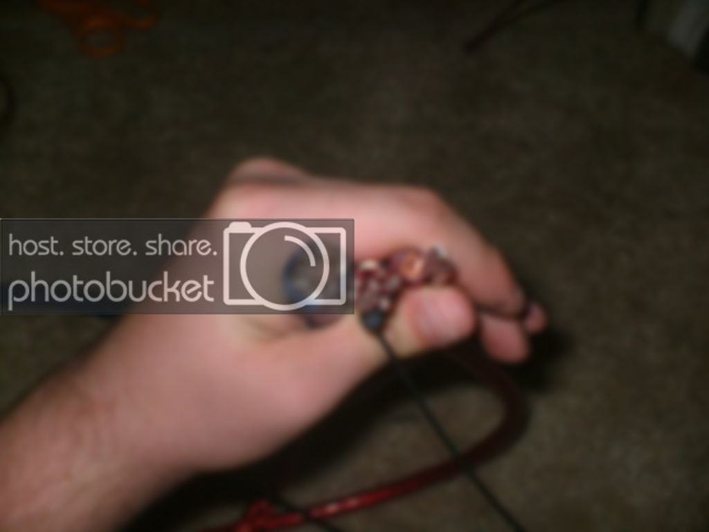 DSCF0870.jpg
